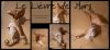 Nom du fichier=lievre2mars2a.jpg
Taille du fichier=360Ko
Dimensions : 1000x465
Ajouté le : 23 Avril 2010 lievre2mars2a.jpg