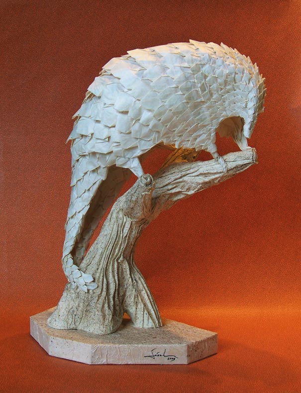 Pangolin 1.
