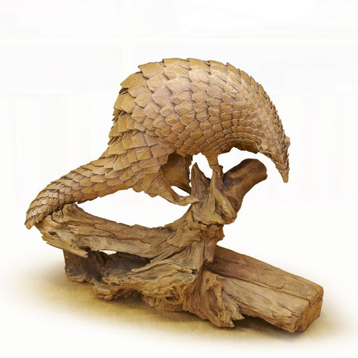 Pangolin
Vendu à un particulier, USA.

