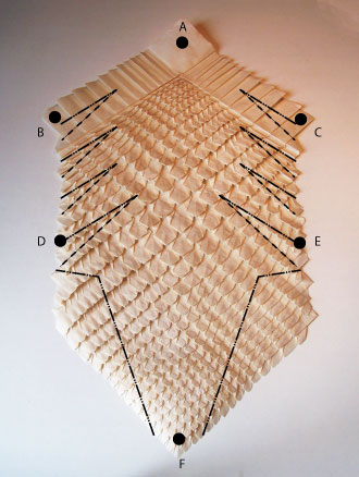 Pangolin étape 2
