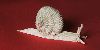 Nom du fichier=Escargot~0.gif
Taille du fichier=187Ko
Dimensions : 850x425
Ajouté le : 19 Mars 2009 Escargot~0.gif
