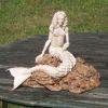 Nom du fichier=Sirene1ok.jpg
Taille du fichier=92Ko
Dimensions : 567x567
Ajouté le : 28 Février 2008 Sirene1ok.jpg