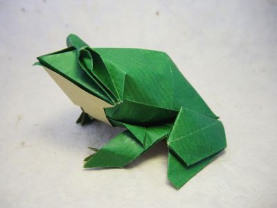 Grenouille-taureau (Roman Diaz)
