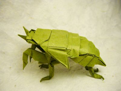 Cicada nymph (Satoshi Kamiya)
Un carré de 30 cm d'Origamido.
