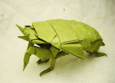 Cicada nymph (Satoshi Kamiya)
Un carré de 30 cm d'Origamido.
