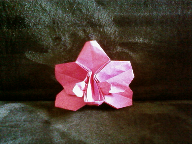Orchidée de LANG (ODS)
Papier kraft 70g + soie - carré de 21 cm - modèle fini 8 * 9 cm
