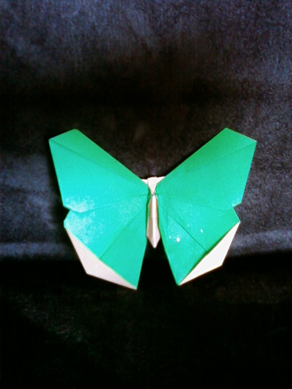 Papillon de Michaël LAFOSSE (Advanced Origami)
Papier Origami - carré de 15 cm
