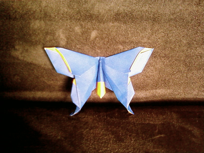 Papillon de LAFOSSE  (site pem.org)
légèrement modifié
