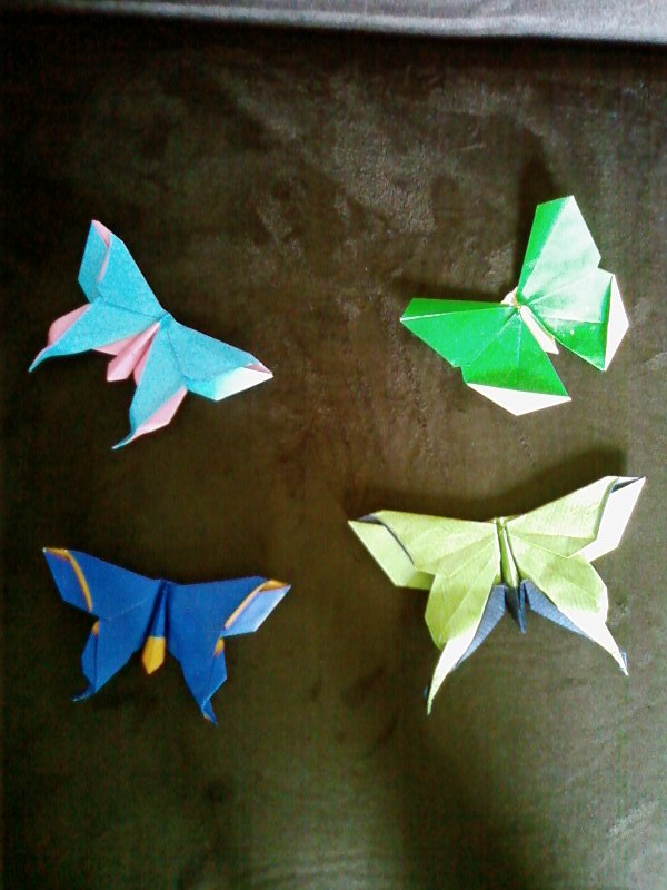 Papillons de LAFOSSE
