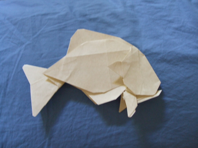 Poisson - Eric JOISEL
