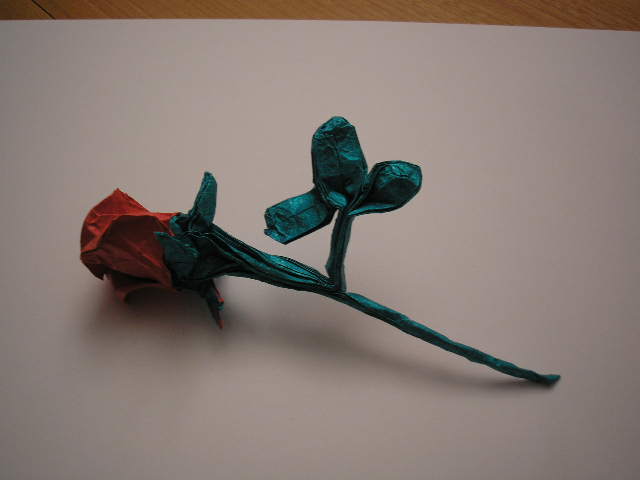 One-sheet rose - Brian CHAN
