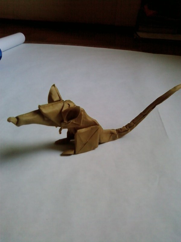 Rat - Eric JOISEL
Mon premier wet-folding !!
Papier canson 150 g/m², carré de 35 cm
