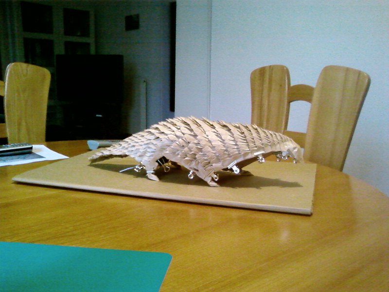 Pangolin (autre vue)
