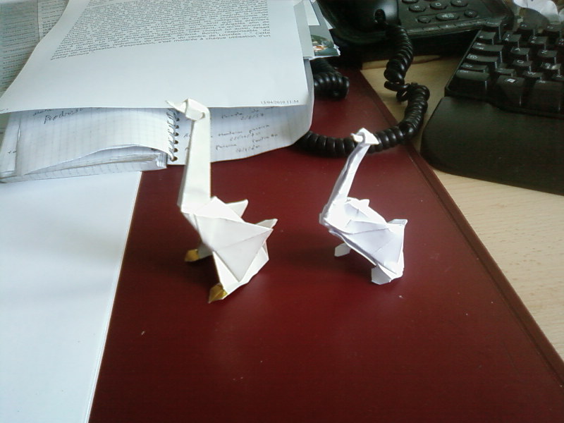 Oie 3D - essais
Une modification de mon canard.
Le modèle est maintenant en 3D, et totalement fermé au niveau du ventre.
