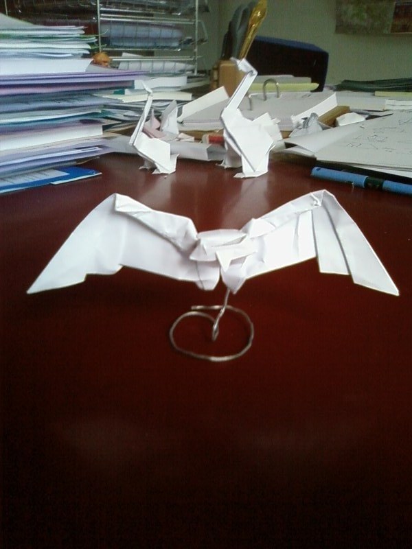 Hibou en vol - challenge base du poisson
HIbou en vol
En arrière-plan mon "oie 3D"
