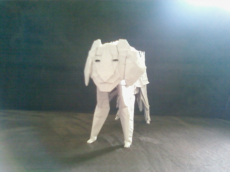 Tigre de Komatsu (face)
