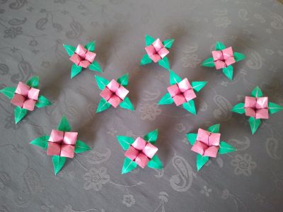 Fleur(s) - Roman DIAZ
