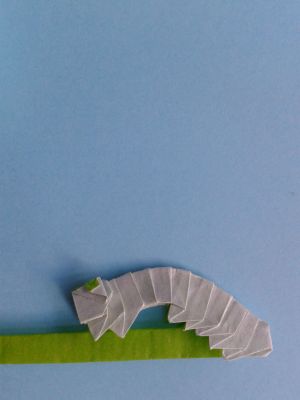 Le cycle de la vie d'un papillon : la chenille de l'origine
