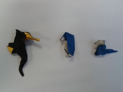 Les recalés (temporaires ?) du challenge "base du mouton"
3 modèles issus de la base du mouton : un hippocampe, un pingouin et un mammifère (chat, chien ou souris)
