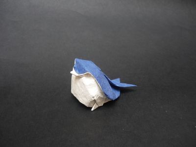 Blue Chick de Bernie Peyton (Eco origami)
Un carré de 10 cm de soie-alu-momigami
