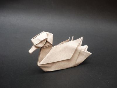 Canard (50 hours origami)
