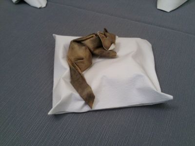 Chat sur coussin (1 seule feuille) de Giang DINH
