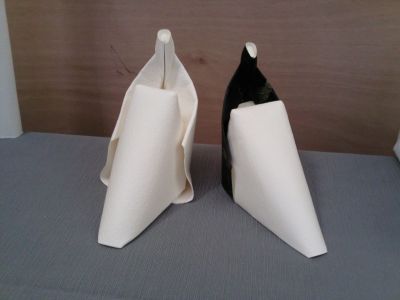 Modèles de GIang DINH
