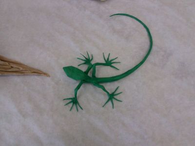 lézard de ?
