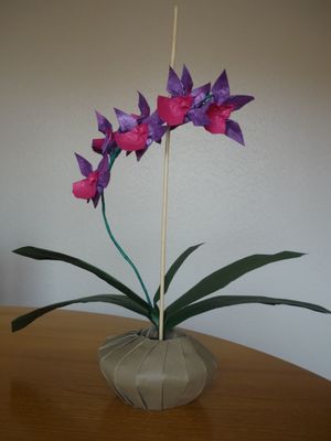 Un cadeau pour ma meilleure amie
Oncidium dancing lady de Ngo Duc Hung, feuilles de Michaël Lafosse et pot inspiré par Rebecca Gieseking
