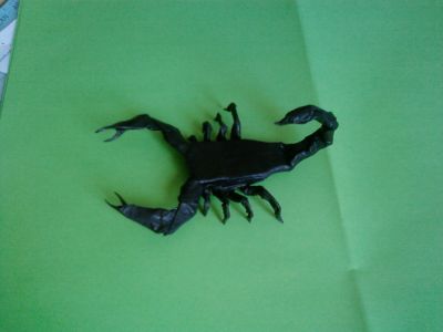 Scorpion (Robert LANG)
Scorpion du Tanteidan 8 
carré d'environ 40 cm - sandwich soie-alu-soie
