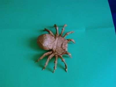 Tarantule de Robert LANG
Carré de 40cm - sandwich alu-papier "silk"
