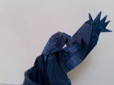 detail_tete.jpg