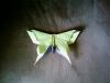 Nom du fichier=Moth_(Origami_art).jpg
Taille du fichier=100Ko
Dimensions : 800x600
Ajouté le : 09 Mars 2009 Moth_(Origami_art).jpg