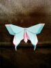 Nom du fichier=Papillon_PEM.jpg
Taille du fichier=78Ko
Dimensions : 600x800
Ajouté le : 09 Mars 2009 Papillon_PEM.jpg
