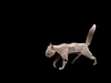Nom du fichier=CHAT_Sept_2020_1_web.jpg
Taille du fichier=218Ko
Dimensions : 1434x1076
Ajouté le : 29 Septembre 2020 CHAT_Sept_2020_1_web.jpg