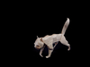 Nom du fichier=CHAT_Sept_2020_2_web.jpg
Taille du fichier=197Ko
Dimensions : 1434x1076
Ajouté le : 29 Septembre 2020 CHAT_Sept_2020_2_web.jpg