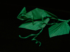 Nom du fichier=Cameleon_2_web.jpg
Taille du fichier=583Ko
Dimensions : 1245x934
Ajouté le : 13 Mai 2020 Cameleon_2_web.jpg