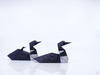 Nom du fichier=Loon_Sept_2021_web.jpg
Taille du fichier=454Ko
Dimensions : 1422x1067
Ajouté le : 30 Septembre 2021 Loon_Sept_2021_web.jpg