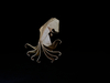 Nom du fichier=Octopus_3_web.jpg
Taille du fichier=222Ko
Dimensions : 1245x934
Ajouté le : 13 Mai 2020 Octopus_3_web.jpg