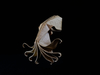 Nom du fichier=Octopus_4_web.jpg
Taille du fichier=256Ko
Dimensions : 1245x934
Ajouté le : 13 Mai 2020 Octopus_4_web.jpg