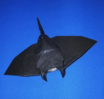 Manta
