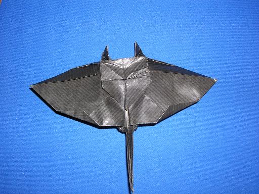 Manta
