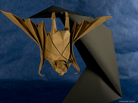 Bat
