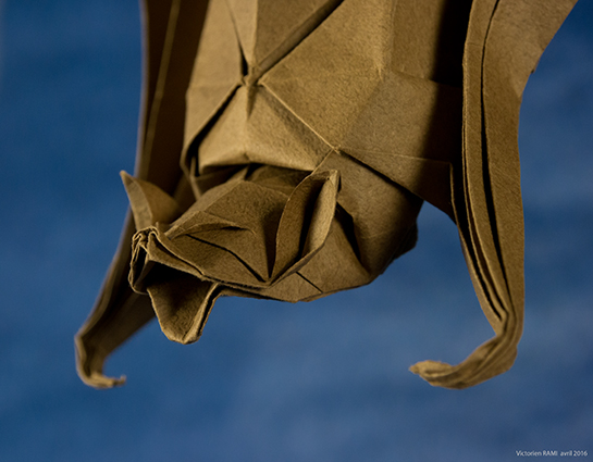 Bat
