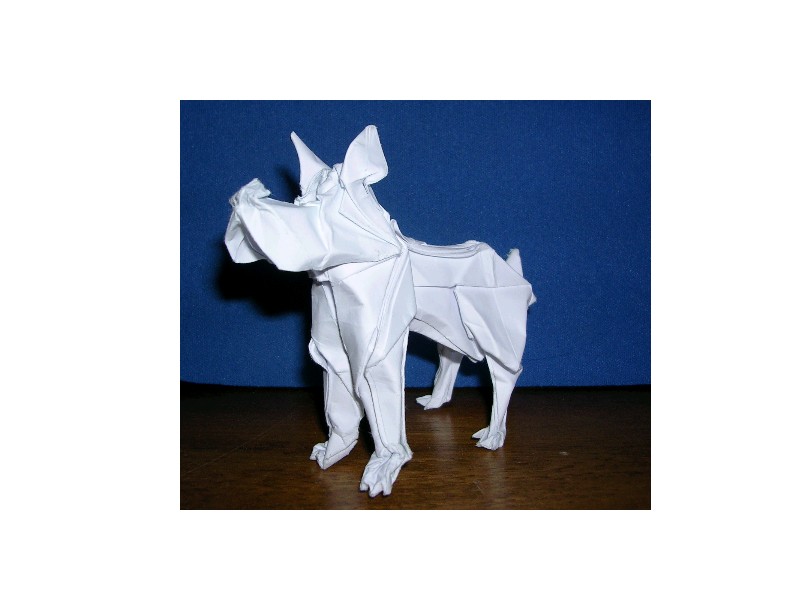 Chien BARLOU
Modèle enseigné par BARLOU lors des rencontres de mai 2008
