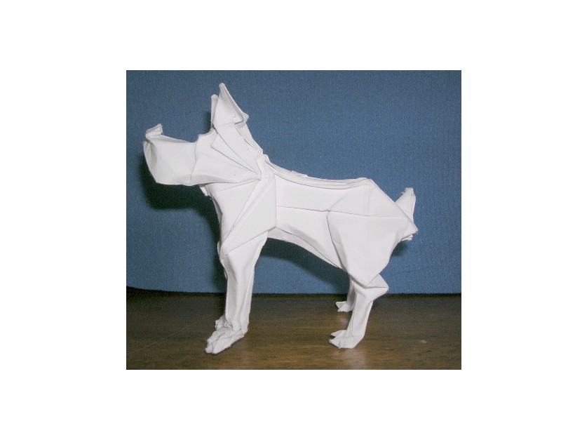 Chien BARLOU
Modèle enseigné par BARLOU lors des rencontres de mai 2008
