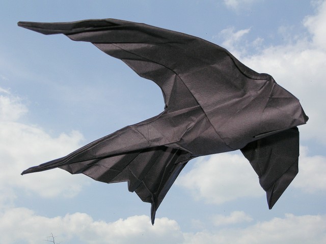 Hirondelle/Martinet
Modèle créé à l'occasion du défi lancé à Goku pour inaugurer la section "défi des peupliers" du forum.
