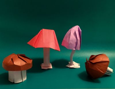 Champignons - essais 
