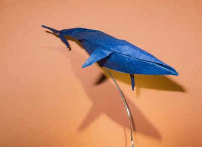 Bird Base Whale
