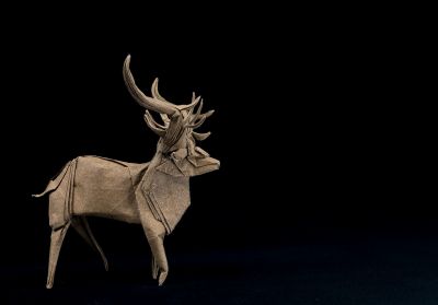 Cerf_1_LR_web.jpg